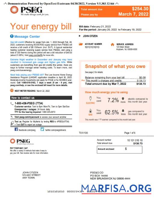 Blank USA New York PSEG utility bill, Word and PDF template, 5 pages 1